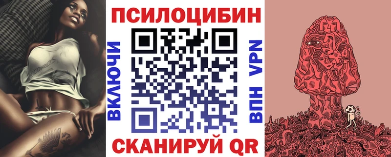 Псилоцибиновые грибы MAGIC MUSHROOMS  продажа наркотиков  кракен ССЫЛКА  Гусев 
