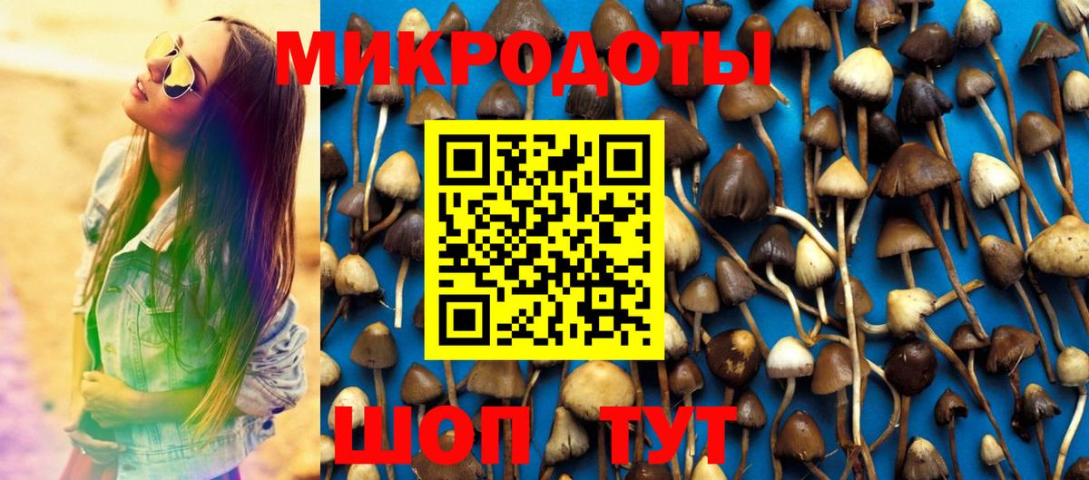 Галлюциногенные грибы ЛСД Гусев