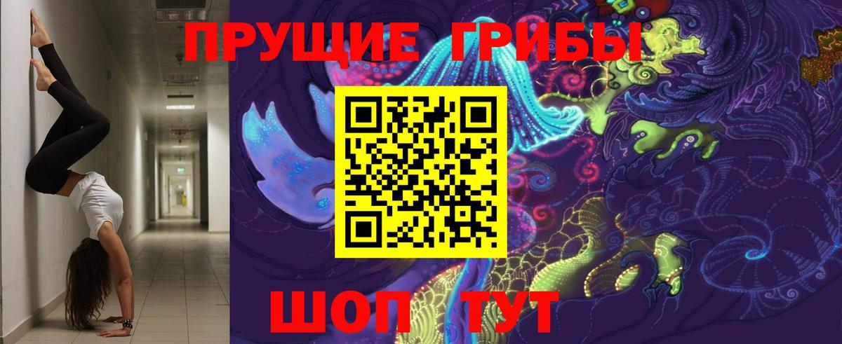 Галлюциногенные грибы Psilocybine cubensis  Гусев 