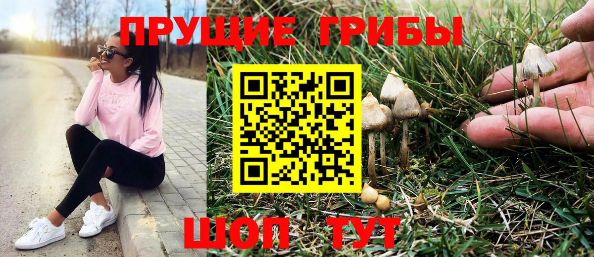 Псилоцибиновые грибы Magic Shrooms  закладка  Гусев  Вход с VPN 
