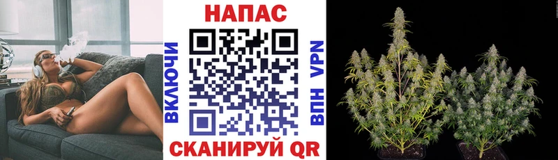 мега онион  Гусев  Шишки марихуана семена 